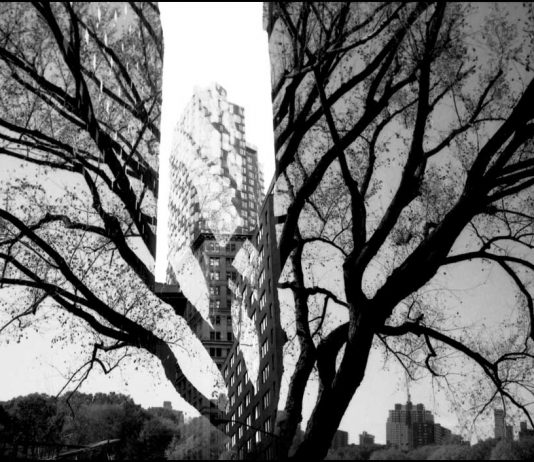 Hugues Roussel – Inverse Landscape. New York # Jungle City