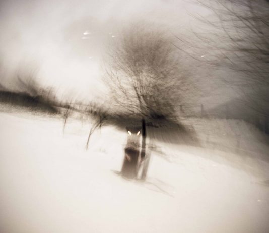 Renato  Gasperini – Il tempo è fuori luogo