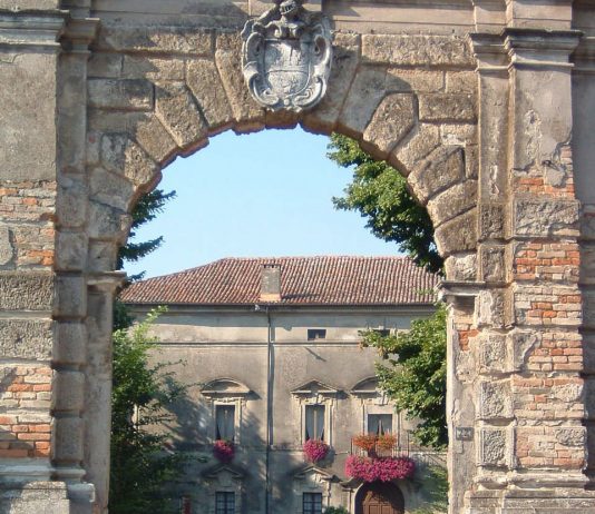 Sandro Negri – Petali di vita Sandro Negri – Petali di vita