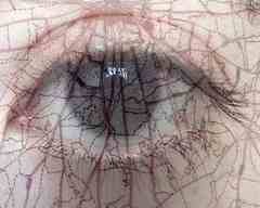 Still Fighting Ignorance & Intellectual Perfidy