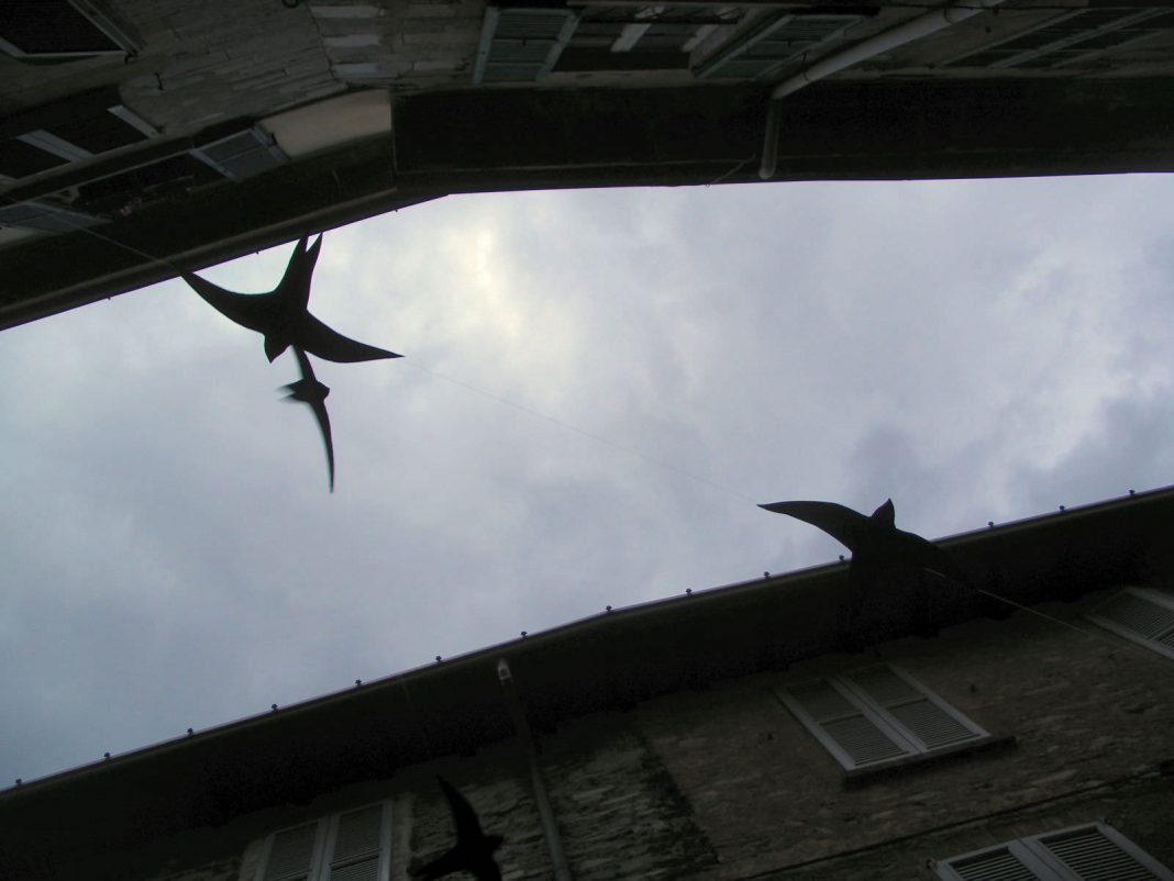 Up Inhttps://www.exibart.com/repository/media/eventi/2012/04/up-in-1068x802.jpg