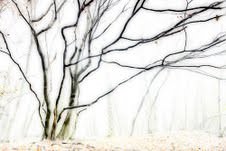 Erminio Annunzi – Oltre il paesaggio Erminio Annunzi – Oltre il paesaggio