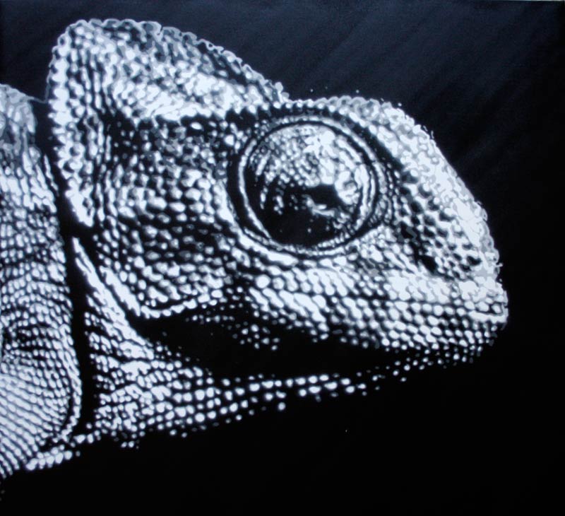 Quasar Outer Space / / / Oltre Spazio Quasar 2012: Lucamaleonte – stencil.poster.arthttps://www.exibart.com/repository/media/eventi/2012/05/quasar-outer-space-oltre-spazio-quasar-2012-lucamaleonte-8211-stencil.poster.art_.jpg