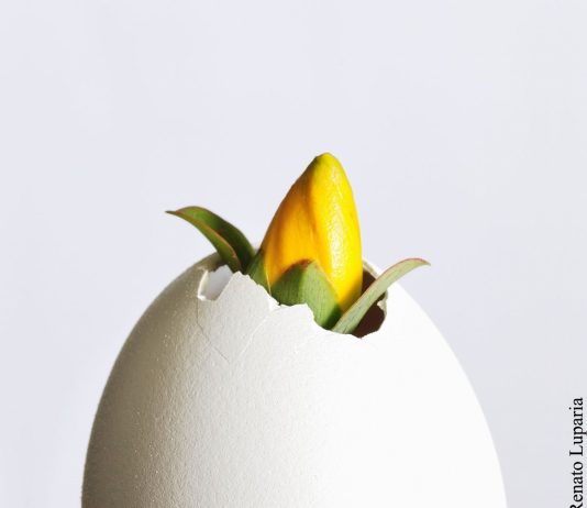 Renato Luparia – Bocciovo