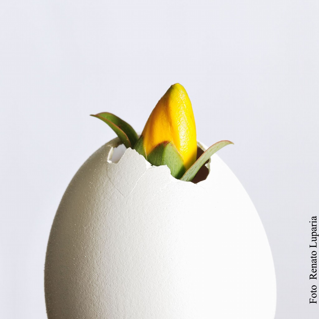 Renato Luparia – Bocciovohttps://www.exibart.com/repository/media/eventi/2012/05/renato-luparia-8211-bocciovo.jpg