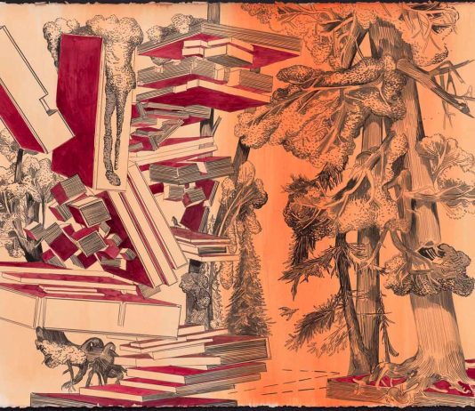 Susanne Kühn – 15 DISEGNI