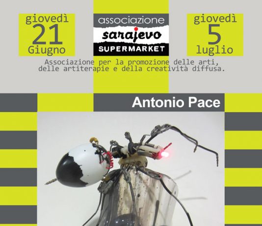 Antonio Pace – Coltivazioni sistematiche