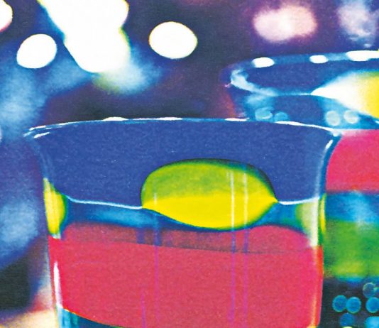 Chuck Freedman – Venezia Icon