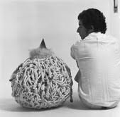 Claudio Cintoli –  L’immagine è un bisogno di confine