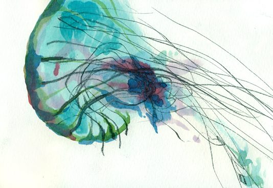 Dall’Acqua Nasce l’Anima