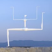 Donia Maaoui – Lola The Rebel