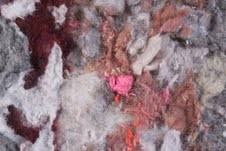 Federico Cavallini – Leaving Behind