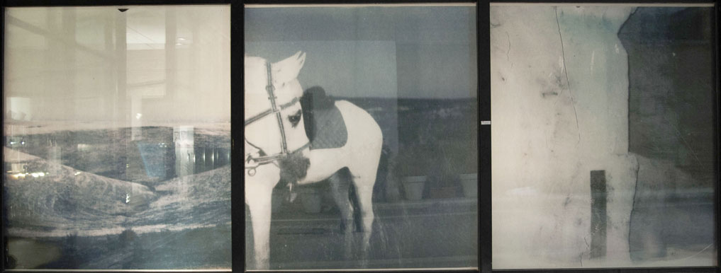 FESTIVAL DELLE ARTI II EDIZIONE: Annalisa Gonnella – Solo exhibitionhttps://www.exibart.com/repository/media/eventi/2012/06/festival-delle-arti-ii-edizione-annalisa-gonnella-8211-solo-exhibition.jpg