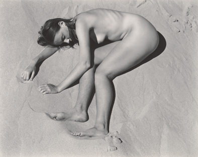 Edward Weston –  Una retrospettiva