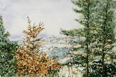 Guglielmo Pacca / Beppe Sappa / Miriam Starace