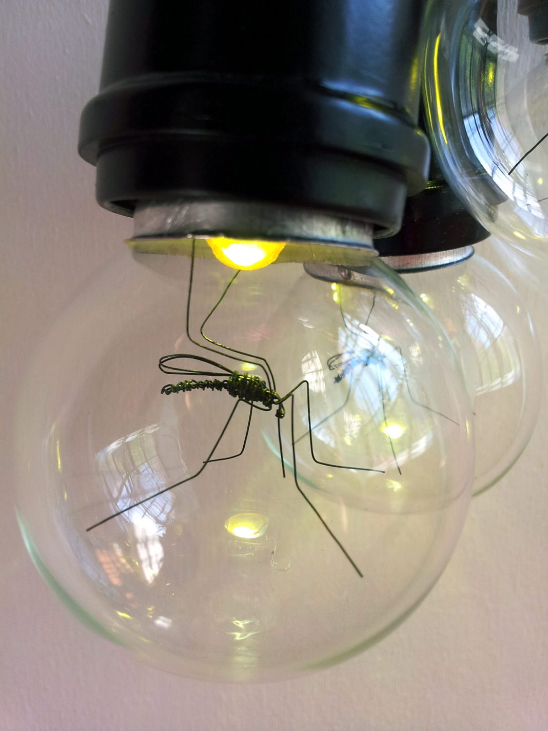 Daeyoung Kang – Fabbrica di Zanzarehttps://www.exibart.com/repository/media/eventi/2012/09/daeyoung-kang-8211-fabbrica-di-zanzare-1068x1424.jpg