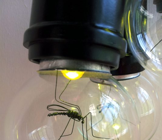 Daeyoung Kang – Fabbrica di Zanzare Daeyoung Kang – Fabbrica di Zanzare