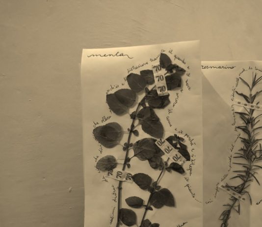 Davide Longfils – Erbario di bordo