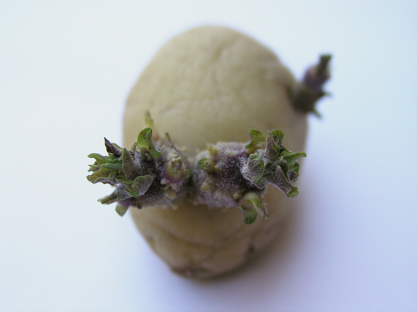 Fabrizio Giannini – Let’s call the whole thing offhttps://www.exibart.com/repository/media/eventi/2012/09/fabrizio-giannini-8211-let8217s-call-the-whole-thing-off.jpg