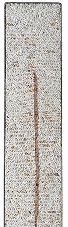 Felice Nittolo –  Incantamenti