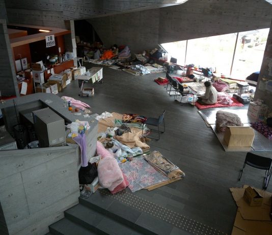Il Grande Terremoto del Giappone Orientale