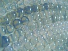 Impermanente 8: Benedetta Galli – Microscopie Impermanente 8: Benedetta Galli – Microscopie