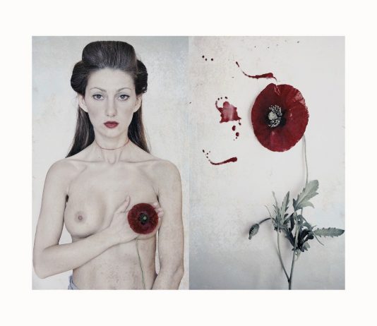 Lilya Corneli – Florarium