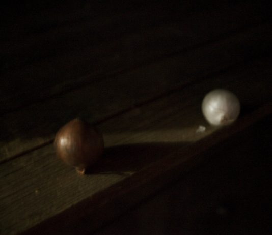 Marco Delogu – La natura della notte Marco Delogu – La natura della notte