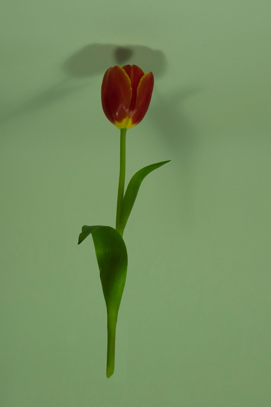 Martina Buzio – Frammentihttps://www.exibart.com/repository/media/eventi/2012/09/martina-buzio-8211-frammenti.jpg