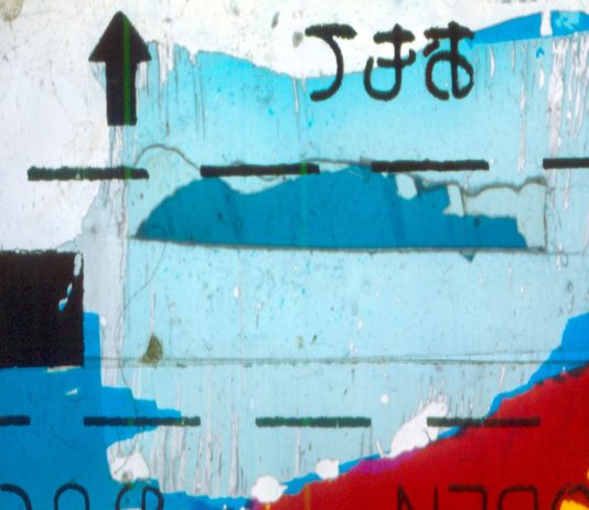 Massimo Cinelli – La memoria delle farfalle Massimo Cinelli – La memoria delle farfalle