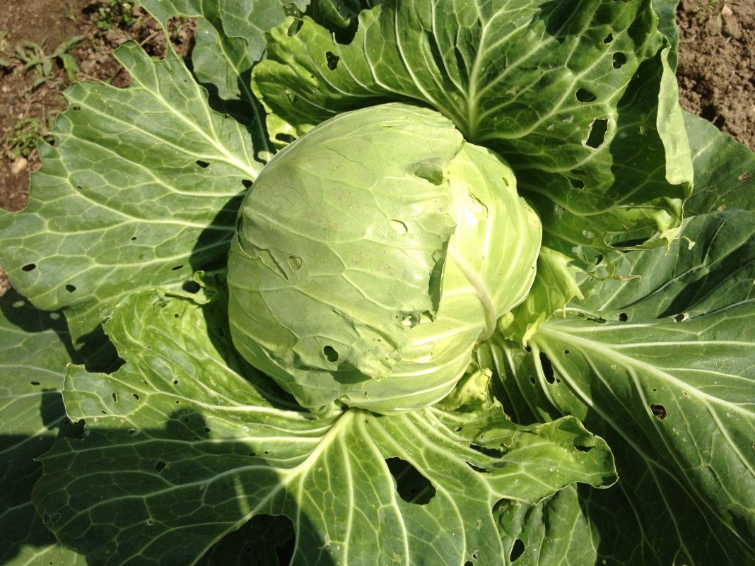 Michael E. Smithhttps://www.exibart.com/repository/media/eventi/2012/09/michael-e.-smith-1068x801.jpg