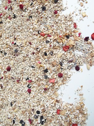 NICOLE WERMERS – FOOD IN SPACE