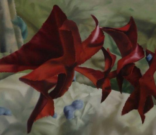 Patrizio Di Sciullo – La foresta quadrata ed altri alberi /  Roberto Neri – Le voci del silenzio