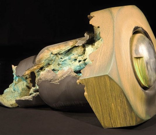 Steven Montgomery – Forward Archaeologies / Archeologie del divenire Steven Montgomery – Forward Archaeologies / Archeologie del divenire