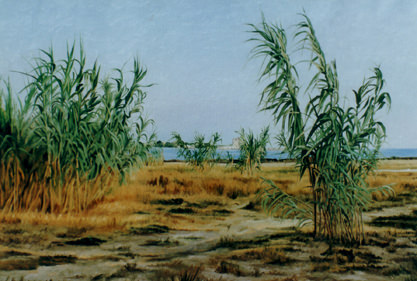 Biagio Raone – Magiche eterne memorie