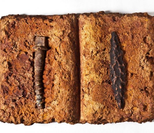 Domenico Difilippo – Carte, codici e manoscritti