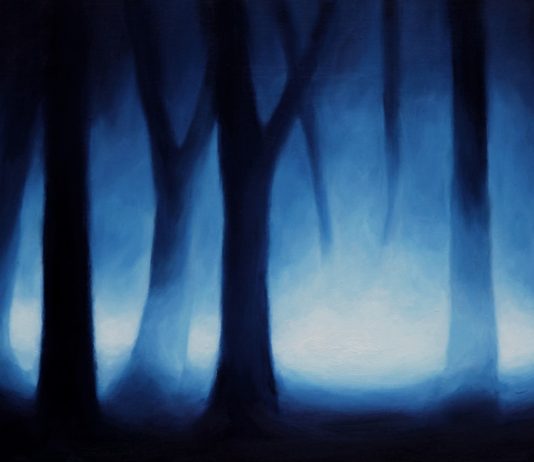 Ernesto Morales – En el bosque