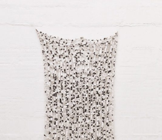 Fernando Garbellotto – FNT- WHO?