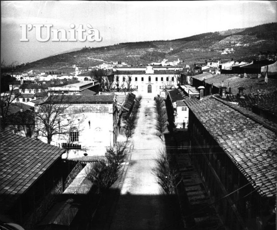 Pier Luigi Tazzi – Prima del diluvio. Memorie e sorprese: da Colonnata a Korat.https://www.exibart.com/repository/media/eventi/2012/10/pier-luigi-tazzi-8211-prima-del-diluvio.-memorie-e-sorprese-da-colonnata-a-korat.jpg