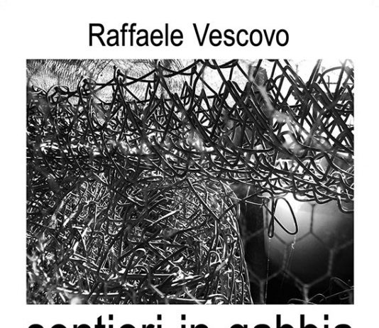 Raffaele Vescovo – Sentieri in Gabbia