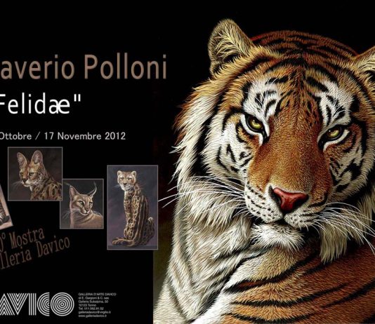 Saverio Polloni – Felidae