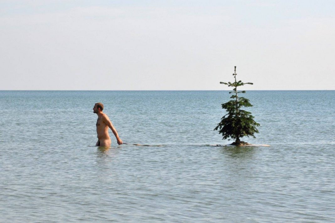 Stefano Scheda – NaturalGiocohttps://www.exibart.com/repository/media/eventi/2012/10/stefano-scheda-8211-naturalgioco-1068x712.jpg