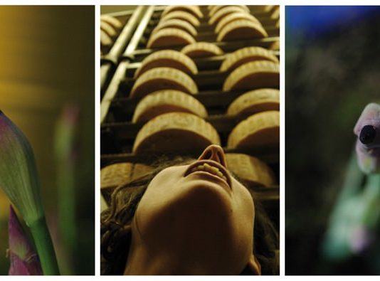 Steficossu – Polpa Viva