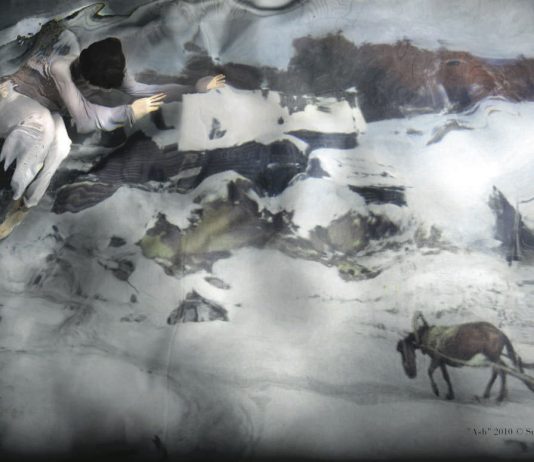 Susanna Majuri – Imaginary Homeland Susanna Majuri – Imaginary Homeland