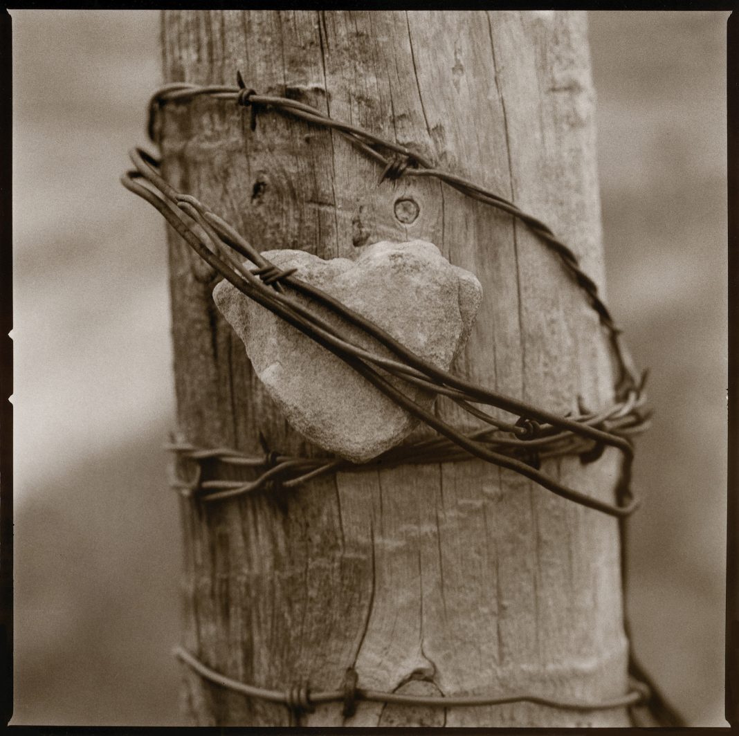 Workshop Zen & the Art of Photographyhttps://www.exibart.com/repository/media/eventi/2012/10/workshop-zen-038-the-art-of-photography-1068x1064.jpg