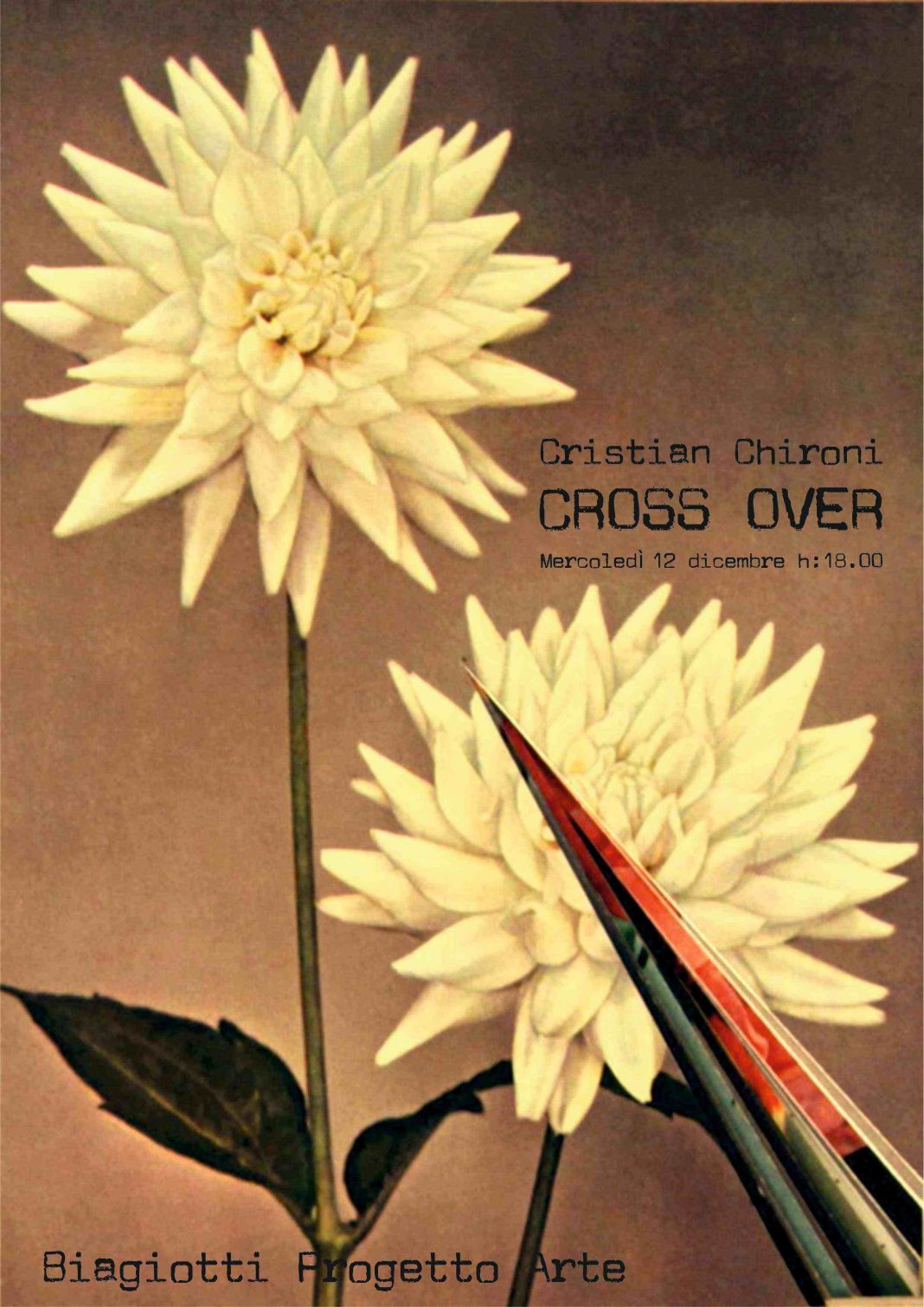 Cristian Chironi – Cross Overhttps://www.exibart.com/repository/media/eventi/2012/11/cristian-chironi-8211-cross-over-1068x1510.jpg
