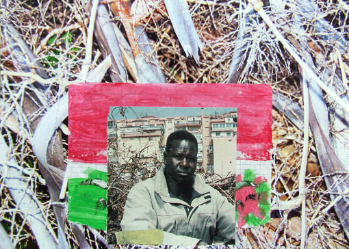 Cultivating Bridges Cultivating Bridges