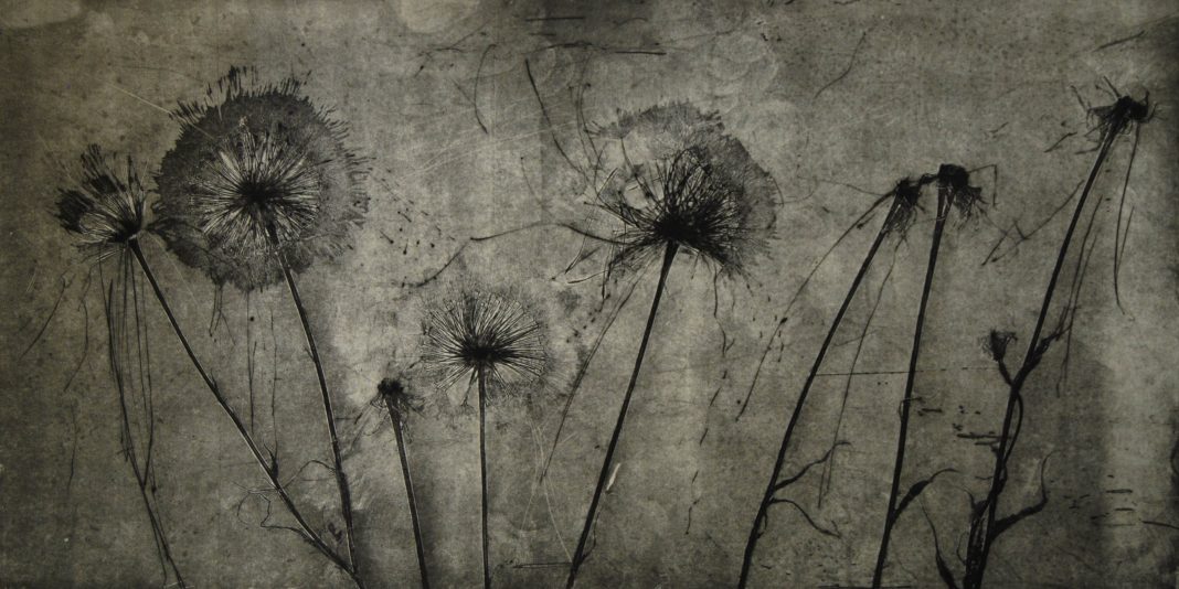 Elisabetta Diamanti – RI-TRATTO: recondita rerum planitieshttps://www.exibart.com/repository/media/eventi/2012/11/elisabetta-diamanti-8211-ri-tratto-recondita-rerum-planities-1068x534.jpg