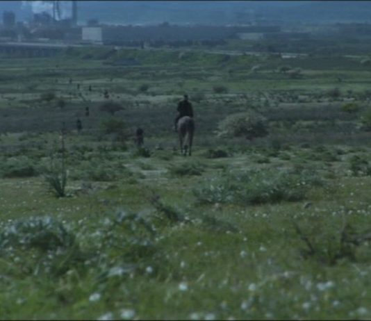 In the Wintry Thicket of Metropolitan Civilization