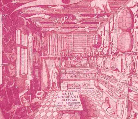 Kaye Donachie / Dagmar Heppner – Color (rules)